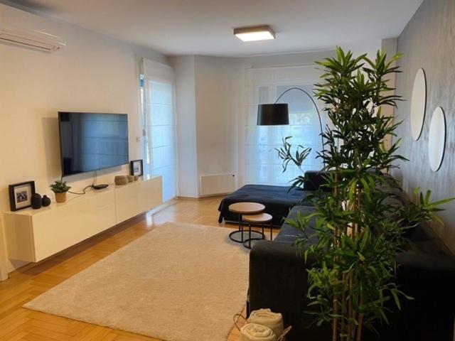 Apartment Lungomare